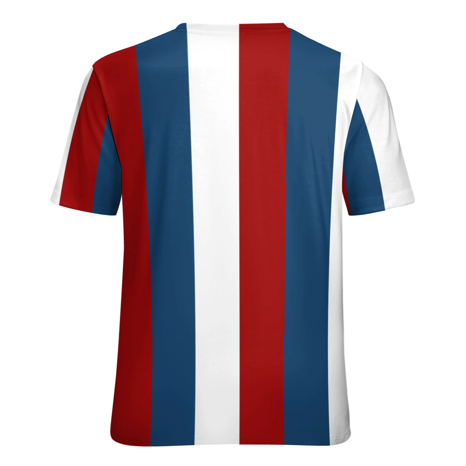 Men's Crew Neck Short Sleeve Tee in Tricolor Vertical Stripes print – back view